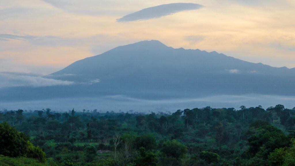 Hunting in Cameroon, Landscape