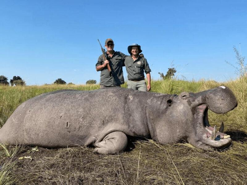 hippo hunting in the Caprivi