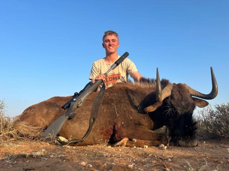 Man posing with Black wildebeest that has been shot.