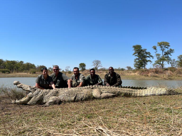 Crocodile Hunting in Mozambique