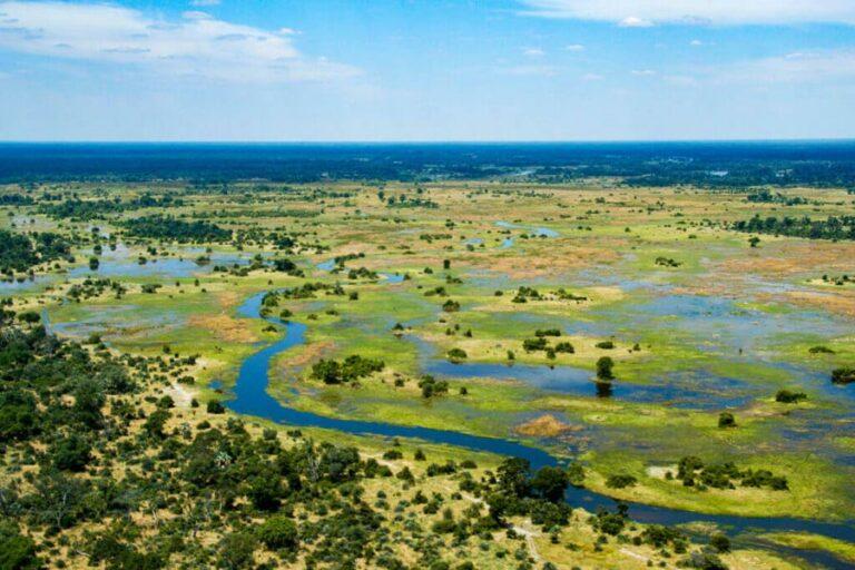 Hunting in Botswana - Okavango Delta