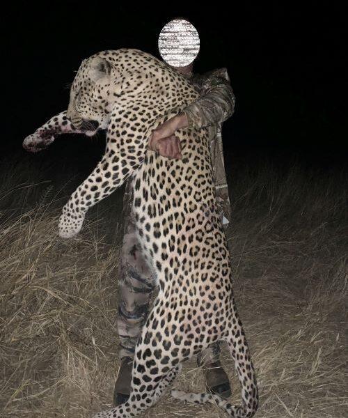 man holding the leopard he shot.