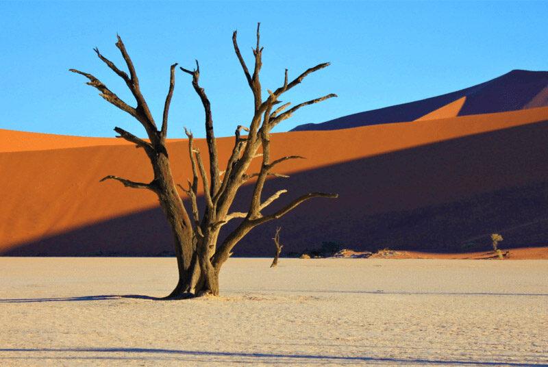 Image of the Namib desert with stark contrasting colors