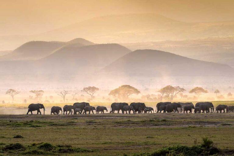 Top Hunting Destinations Tanzania