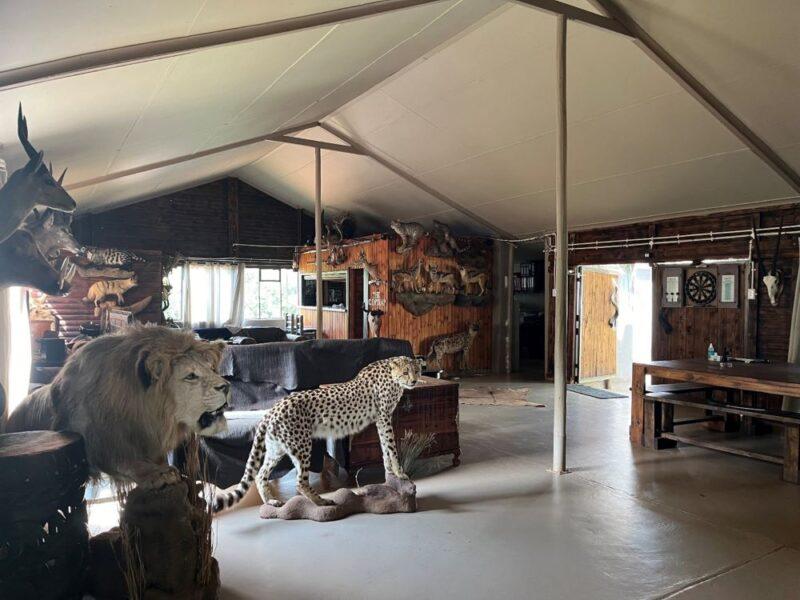 tented room with bar on one side, along with a display of African animals that have been mounted.