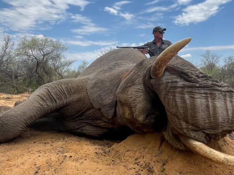 Man posing with elephant he shot