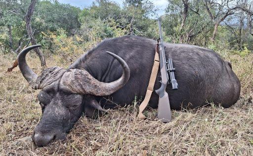 What Is the Best Time of Year to Hunt in Africa? | Game Hunting Safaris Guide