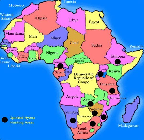 Top 5 African Hunting Safari Destinations For Trophy Hunters: Ultimate Game Hunting Guide