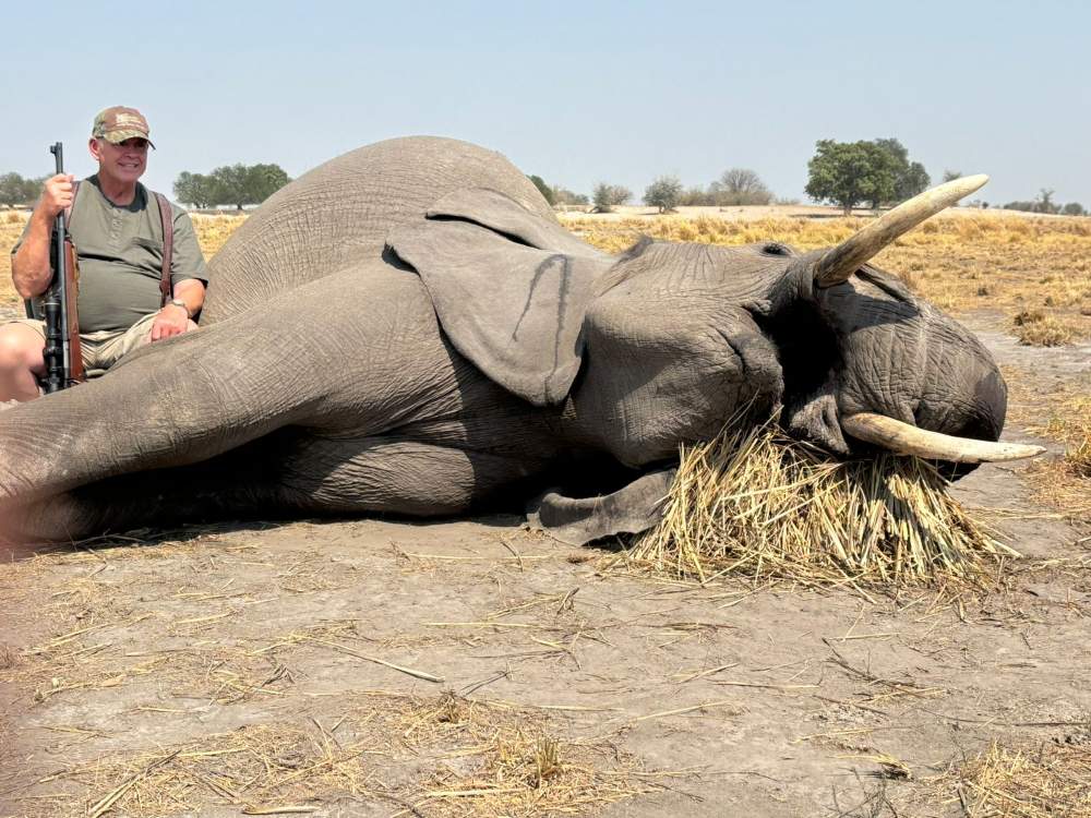 Unforgettable Elephant Hunting In Namibia’s Zambezi Region