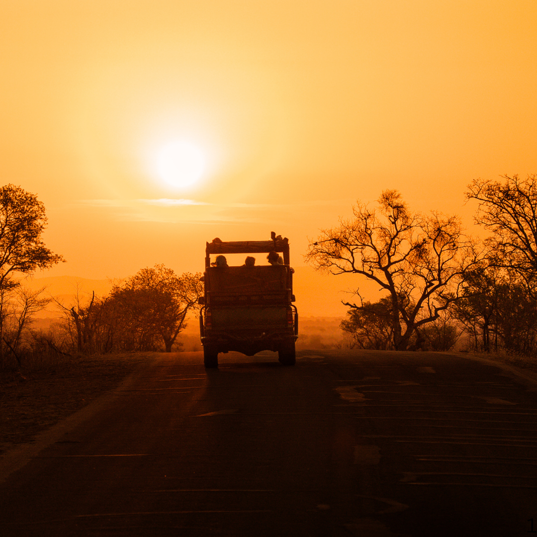 From Texas to the Savannah: How to Plan Your First African Hunting Safari