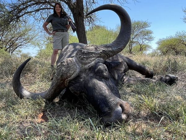 Facing the Ultimate Adversary: Cape Buffalo Hunting in Africa