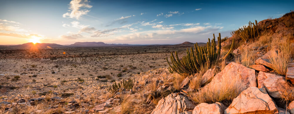 Hunting in South Africa Kalahari Desert, Panoramic,Landscape,Photo,Views,Over,The,Kalahari,Region,In,South