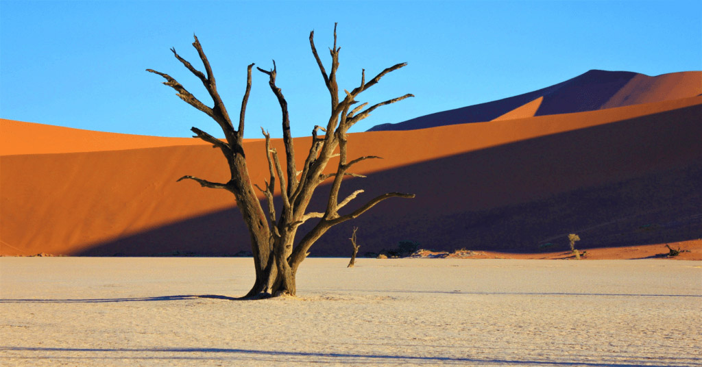 Namibia's Namib Desert is the oldest desert worldwide
