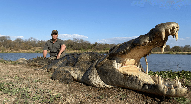 The author during his hunting trip in Africa, pictured with a massive Nile crocodile.