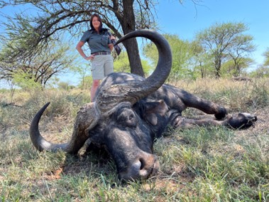 Big Five African game animals, especially Africa's Black Death, remain a popular target when hunting in Africa