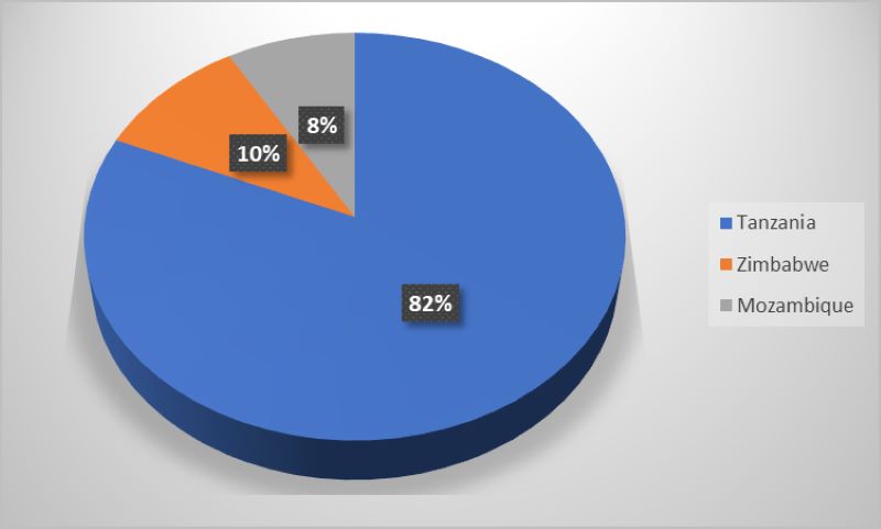 Pie chart showing the number of wild lions in Zimbabwe, Mozambique, and Tanzania