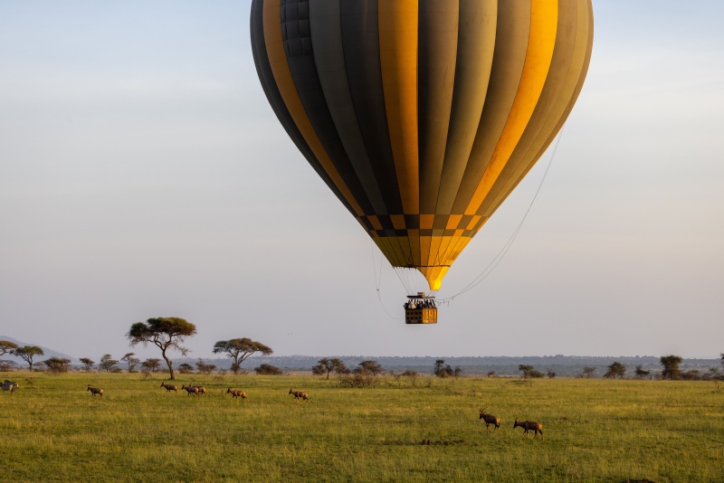 A hot air balloon flying over the African bushveld.