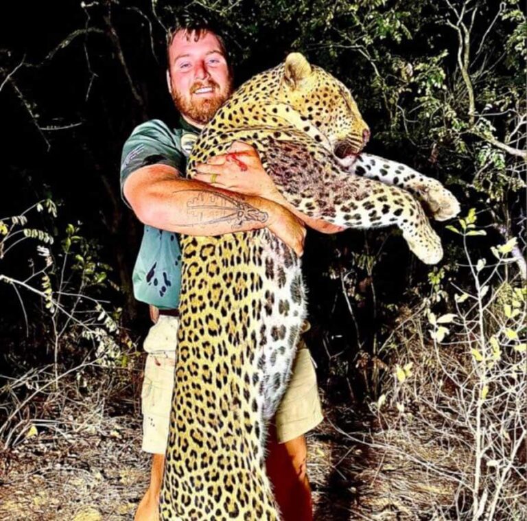 Man holding a trophy leopard that he shot