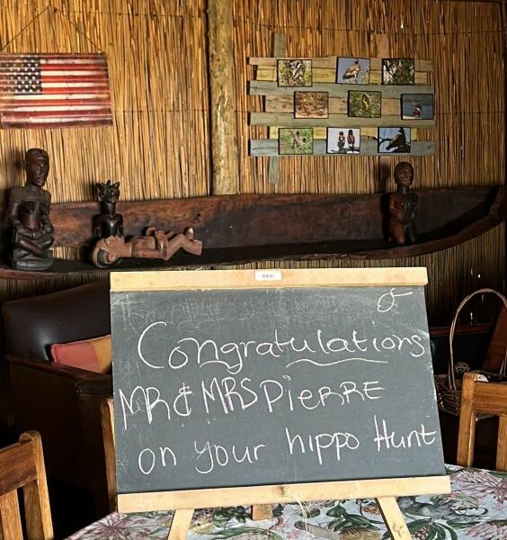 chalk board with congratulations on your hippo hunt