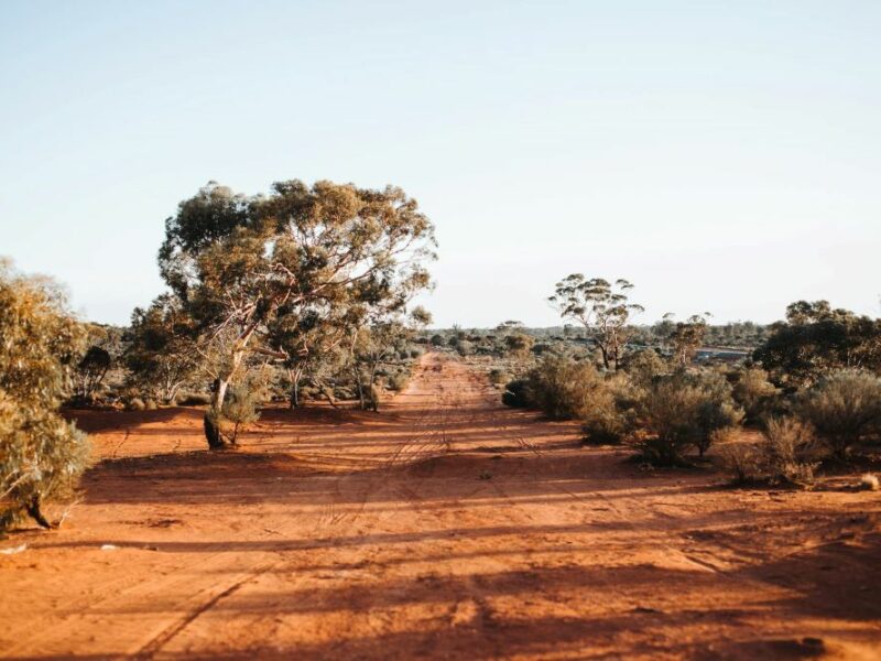 Image of a dirt road in Africa