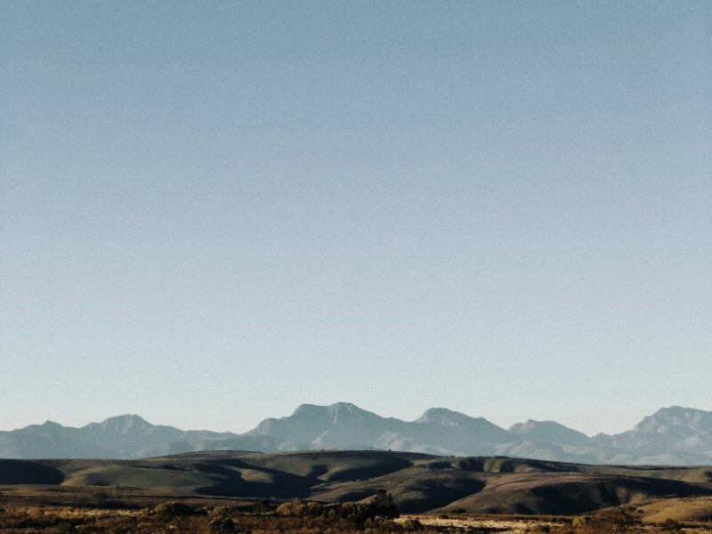 South Africa remains the premier destination for African hunts.