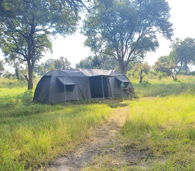 A tent positioned under the trees in the veld