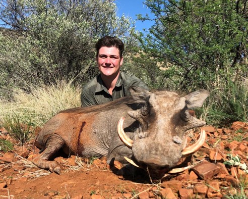 Man posing with a prize warthog trophy while hunting in Africa.