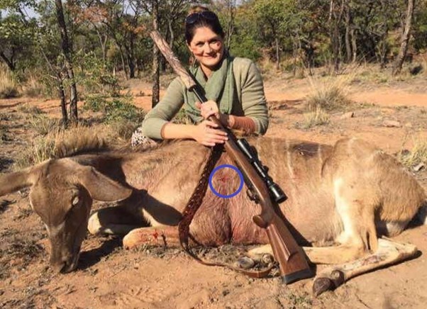 Kudu shot placement too high and too far back