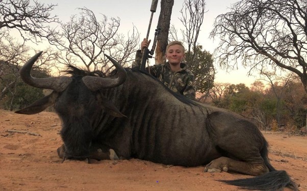 Boy posing with blue wildebeest game hunting trophy he shot.