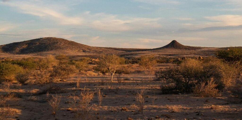 Namibian hunting landscape