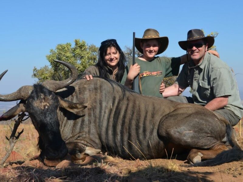 Wildebees hunting trophy