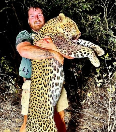 This stunning Leopard was hunting in Namibia, amazing trophy.